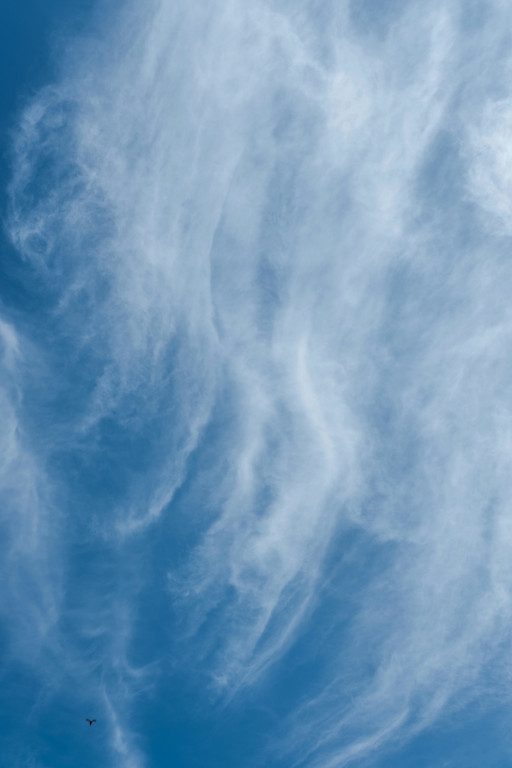 wispy cirrus clouds